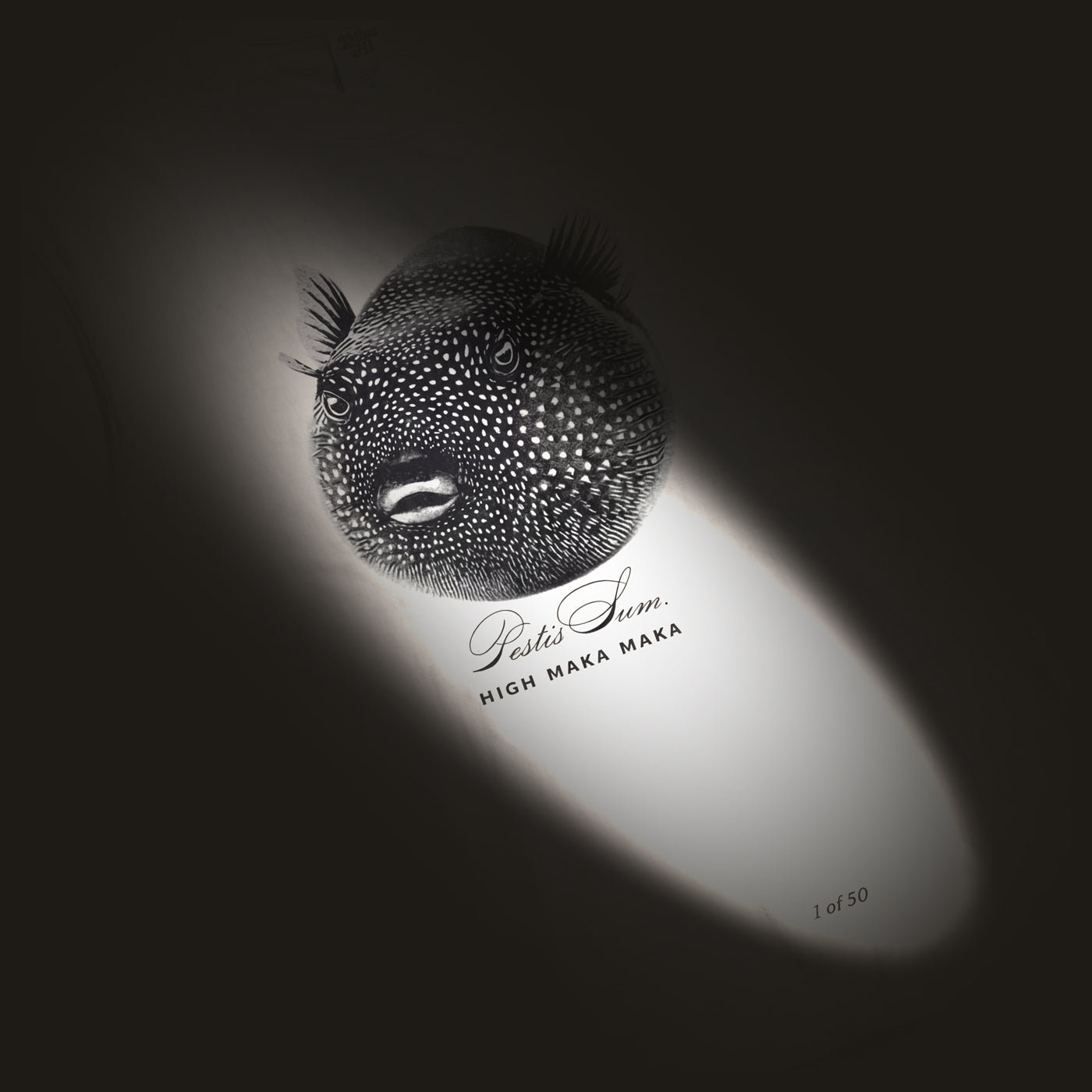 Black and white illustration of a jelly fish on a t-shirt with a blurred background